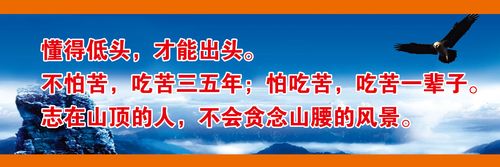 无菌技术的168体育基本概念(安全的基本概念是啥)