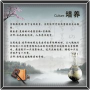 硫168体育酸盐标准曲线含量(硫酸盐标准曲线的绘制)